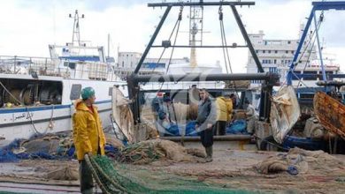 صورة الصيد البحري والمنتجات الصيدية:  إنشاء عشرات التعاونيات لضمان تنظيم أفضل للقطاع