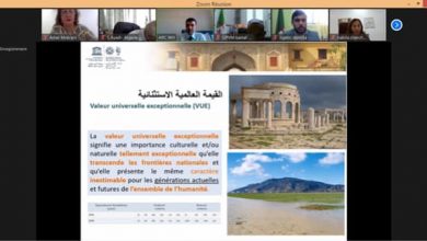 صورة دورة تكوينية لأطر وزارة الثقافة المعنيون بملف حفظ التراث