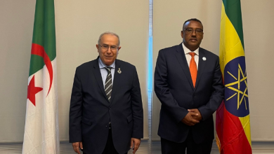 صورة لعمامرة يتباحث مع نظيره الإثيوبي الأوضاع في المنطقة