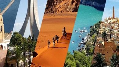 صورة الوزير الأول يدعو الممثليات الدبلوماسية والقنصلية الجزائرية إلى التعريف بالجزائر ك”وجهة سياحية بامتياز”