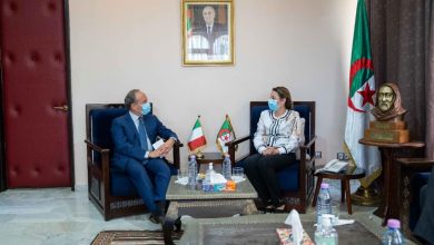 صورة تعزيزا للعلاقات الثقافية: وزيرة الثقافة والفنون تستقبل سفير ايطاليا بالجزائر