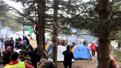 صورة خنشلة: أزيد من 300 مشارك في الطبعة الأولى للمخيم الوطني بـشيليا