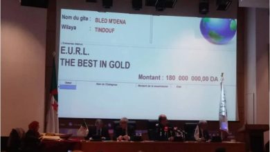صورة الوكالة الوطنية للنشاطات المنجمية: 6 شركات تفوز بصفقات استكشاف مناجم الذهب في الجزائر
