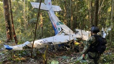 صورة كولومبيا..إنقاذ أربعة أطفال بعد خمسة أسابيع من تحطم طائرتهم بإحدى الغابات