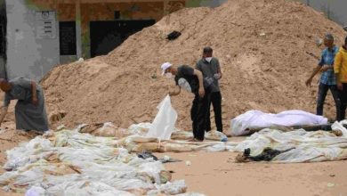 صورة 12 منظمة حقوقية إسرائيلية:2025 العام الأكثر فتكا بفلسطين منذ 1967