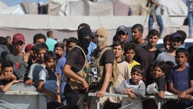 صورة ترامب سمح لها بإعادة النظام في غزة.. “حماس” تحصل على تفويض أمريكي مؤقت