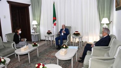 صورة الرئيس تبون يستقبل سفيرة جمهورية التشيك إثر انتهاء مهامها بالجزائر