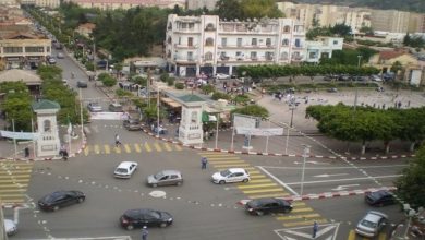 صورة إطلاق مخطط مروري جديد في 5 فبراير المقبل بمدينة البليدة