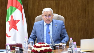صورة بوغالي ينتقد محاولات التدخل في الشأن الجزائري ويؤكد:”يد القانون ستطال كل من يحاول المساس بأمن واستقرار الجزائر”