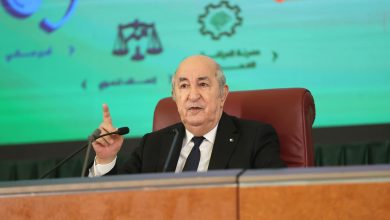 صورة رئيس الجمهورية يؤكد في لقاء الحكومة مع الولاة : الولاة تحت الحماية.. والجزائر لا يُمكن افتراسها بـ”هاشتاغ”