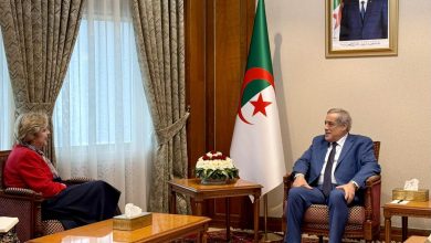 صورة تأكيد على أهمية تكثيف التشاور الثنائي القائم بين البلدين..العرباوي يبحث مع السفيرة الأمريكية قضايا إقليمية ودولية الراهنة