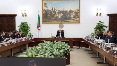 صورة رئيس الجمهورية يترأس اجتماعا لمجلس الوزراء : الموافقة على توطين ثلاث محطات لتحلية مياه البحر