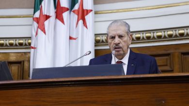 صورة الحكومة مُطالبة بتقديم إحصائيات للوفيات والمعطوبين.. قوجيل: فرنسا زرعت 11 مليون لغم في الجزائر