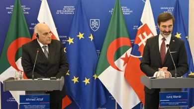 صورة ضبط أولويات التعاون الثنائي وتحديد خارطة الطريق..التوقيع على إعلان مشترك بين الجزائر وجمهورية سلوفاكيا