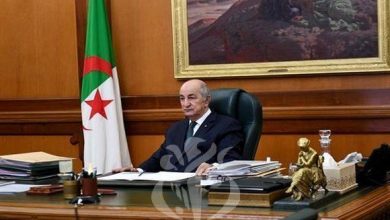 صورة الرئيس تبون: الجزائر تواصل جهودها لمساندة دول الجوار في حربها ضد الإرهاب