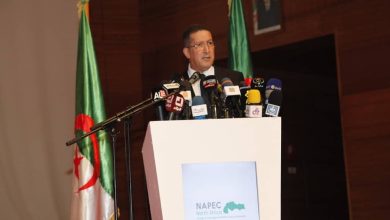 صورة عبد الكريم لعويسي: الجزائر تسعى إلى تحقيق انتقال طاقوي بشكل تدريجي