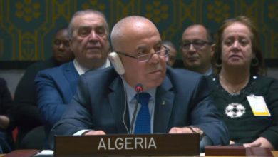 صورة الأمم المتحدة:الجزائر ترافع لمعالجة الأسباب الجذرية لانعدام الأمن الغذائي