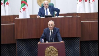 صورة لعزيز فايد يعرض مشروع قانون المالية لسنة 2025: “الاقتصاد الجزائري صامد رغم التأثيرات الخارجية”