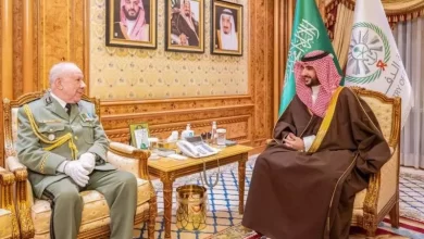 صورة الفريق أول شنقريحة يلتقي وزير الدفاع للقوات المسلحة السعودية