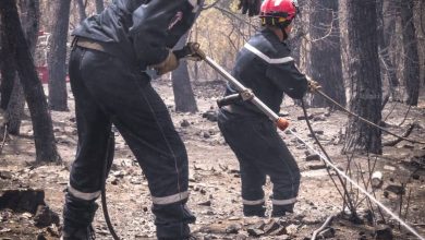 صورة جمال طواهرية: الحرائق أتلفت 288 هكتاراً عبر عدة ولايات