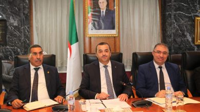 صورة بتطوير روابط كهربائية وغازية طموحة مع أوروبا والدول الإفريقية..عرقاب: الجزائر ترغب في أن تصبح مركزًا إقليميًا للطاقة