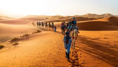صورة من أكتوبر 2025 إلى غاية أبريل 2026.. 47 ألف سائح أجنبي زاروا ولايات الجنوب