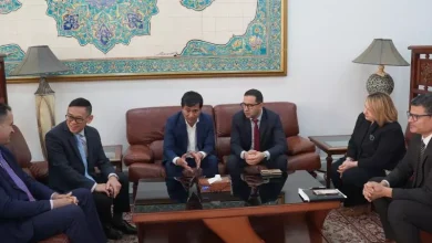 صورة الجزائر تستضيف الدورة الـ13 للجنة المشتركة الجزائرية–الفيتنامية