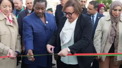 صورة افتتاح المعهد الإفريقي للتكوين المهني ببومرداس لتعزيز التعاون البيني-الإفريقي