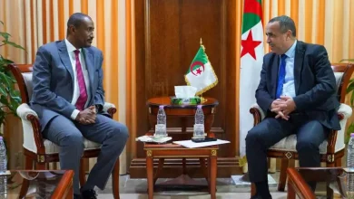 صورة وزير الطاقة يبحث مع اللجنة الإفريقية للطاقة آفاق الشراكة القارية وتعزيز الانتقال الطاقوي