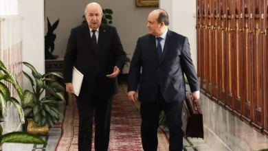 صورة رئيس الجمهورية يأمر بتسخير كل الإمكانيات لرفع طاقة إنتاج الحبوب وعصرنة القطاع الفلاحي