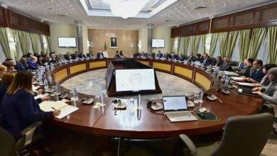 صورة الحكومة تواصل دراسة تنظيم الإنتاج السمعي البصري وتبحث آليات التكفل بالأطفال المسعفين والتكيف مع التغير المناخي