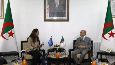 صورة وزير العمل يستقبل الممثلة المقيمة لبرنامج الأمم المتحدة الإنمائي ويبحثان سبل تعزيز التعاون