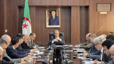 صورة كمال رزيق يؤكد على إنشاء بطاقية رقمية وطنية لدعم الصادرات الجزائرية