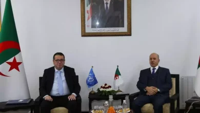 صورة سايحي يبحث مع منظمة العمل الدولية تعزيز الشراكة في الصحة والسلامة المهنية والحماية الاجتماعية