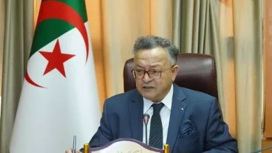 صورة الجزائر تعزز إشعاعها الجامعي بإطلاق مشاريع إفريقية واعدة