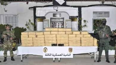 صورة إحباط محاولة إدخال أزيد من 11 قنطارًا من الكيف المعالج ببشار