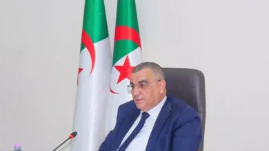 صورة الجزائر–تشاد: نحو تجسيد مشاريع تعاون جديدة في قطاع الأشغال العمومية