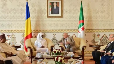 صورة تعزيز العلاقات الجزائرية-التشادية وبحث القضايا الإقليمية والدولية