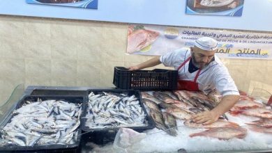 صورة الشروع في تسويق سمك السردين ب500 دج للكلغ عبر عدة ولايات