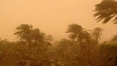 صورة رياح قوية وزوابع رملية مرتقبة بعدة ولايات جنوبية