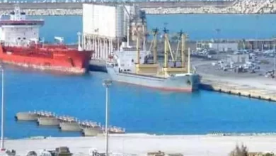 صورة نقل بحري: ضرورة إعادة تنظيم شاملة لمنظومة تسيير الموانئ بهدف تحسين مردودها