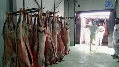 صورة تمنراست… 1.800طن من اللحوم الحمراء وجهت نحو شمال الوطن ما بين 2021 و2022