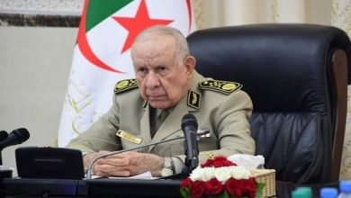 صورة الألعاب الأولمبية: الفريق أول السعيد شنقريحة يهنئ العداء جمال سجاتي بعد فوزه بالميدالية البرونزية في سباق 800 متر