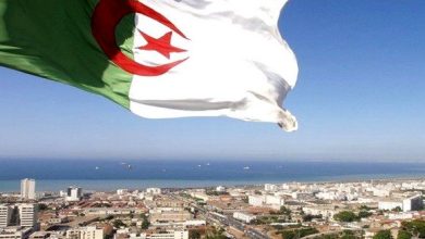 صورة الجزائر الجديدة تستمر في تحقيق نجاحات دبلوماسية
