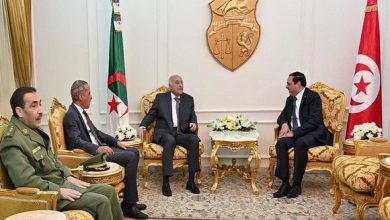 صورة بصفته مبعوثا خاصا لرئيس الجمهورية.. عطاف يحل بالعاصمة التونسية