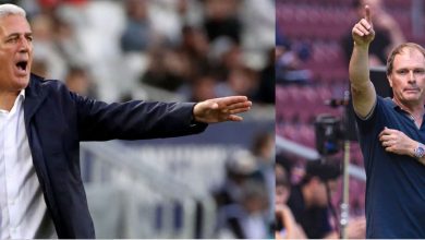 صورة السويسري آلان غيغر : بيتكوفيتش سينجح مع المنتخب الجزائري لهذه الأسباب