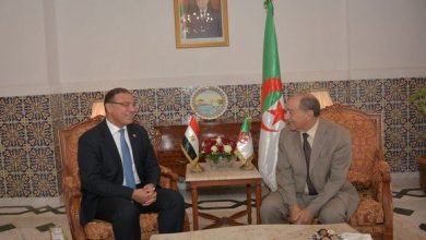 صورة رئيس المحكمة الدستورية يستقبل سفير مصر بالجزائر