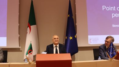 صورة فايد: التحول الرقمي الجاري يكتسي أهمية “قصوى”
