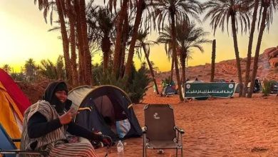 صورة واحة تيوت تحتضن المخيم الإفريقي للتواصل الشبابي وتعزز جسور الأخوة بين شباب القارة