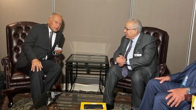 صورة لعمامرة يجري محادثات مع الأمين العام لجامعة الدول العربية